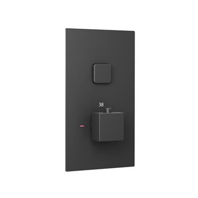 Matt Black Square Single Push Button Shower Valve