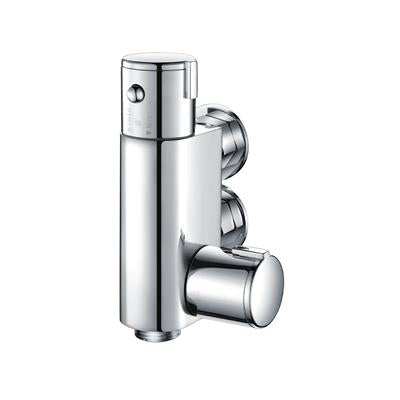 Chrome Vertical Thermostatic Shower Valve